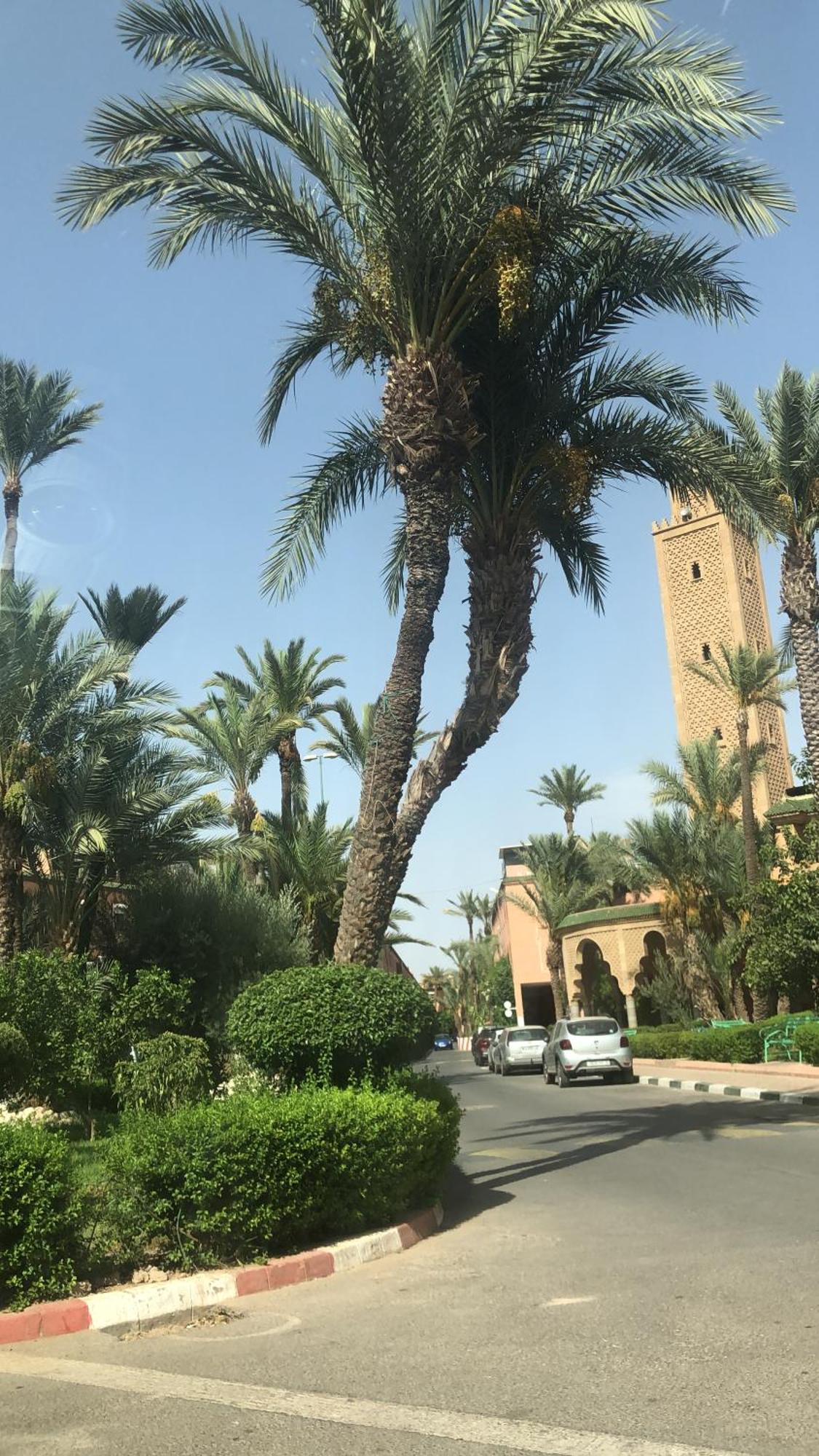 Riad Lyna Marrakesh Exterior foto